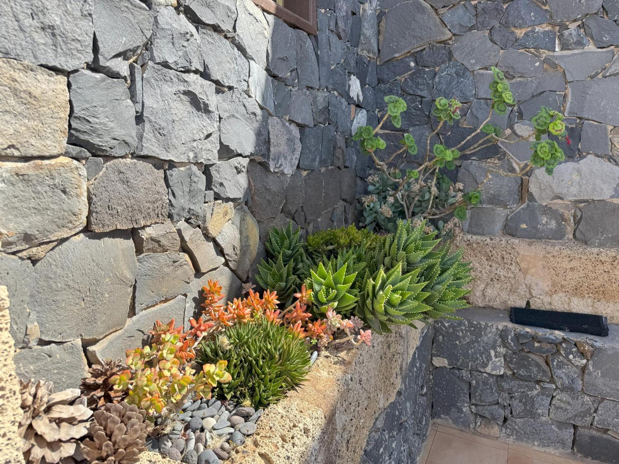 Holiday home Balcones De Erques Guia de Isora (Tenerife)